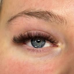 BROWN VOLUME LASHES CC CURL
